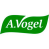 A.vogel
